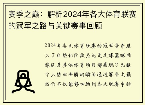 赛季之巅：解析2024年各大体育联赛的冠军之路与关键赛事回顾